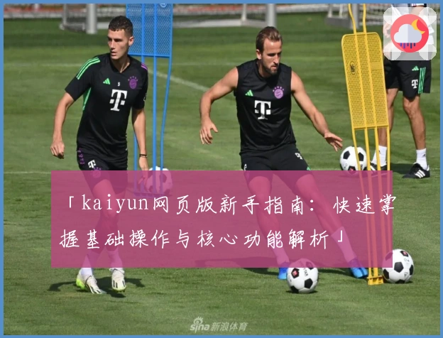 「kaiyun网页版新手指南：快速掌握基础操作与核心功能解析」