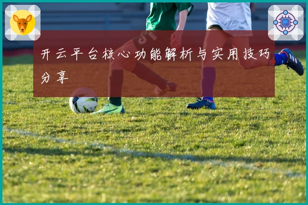开云平台核心功能解析与实用技巧分享